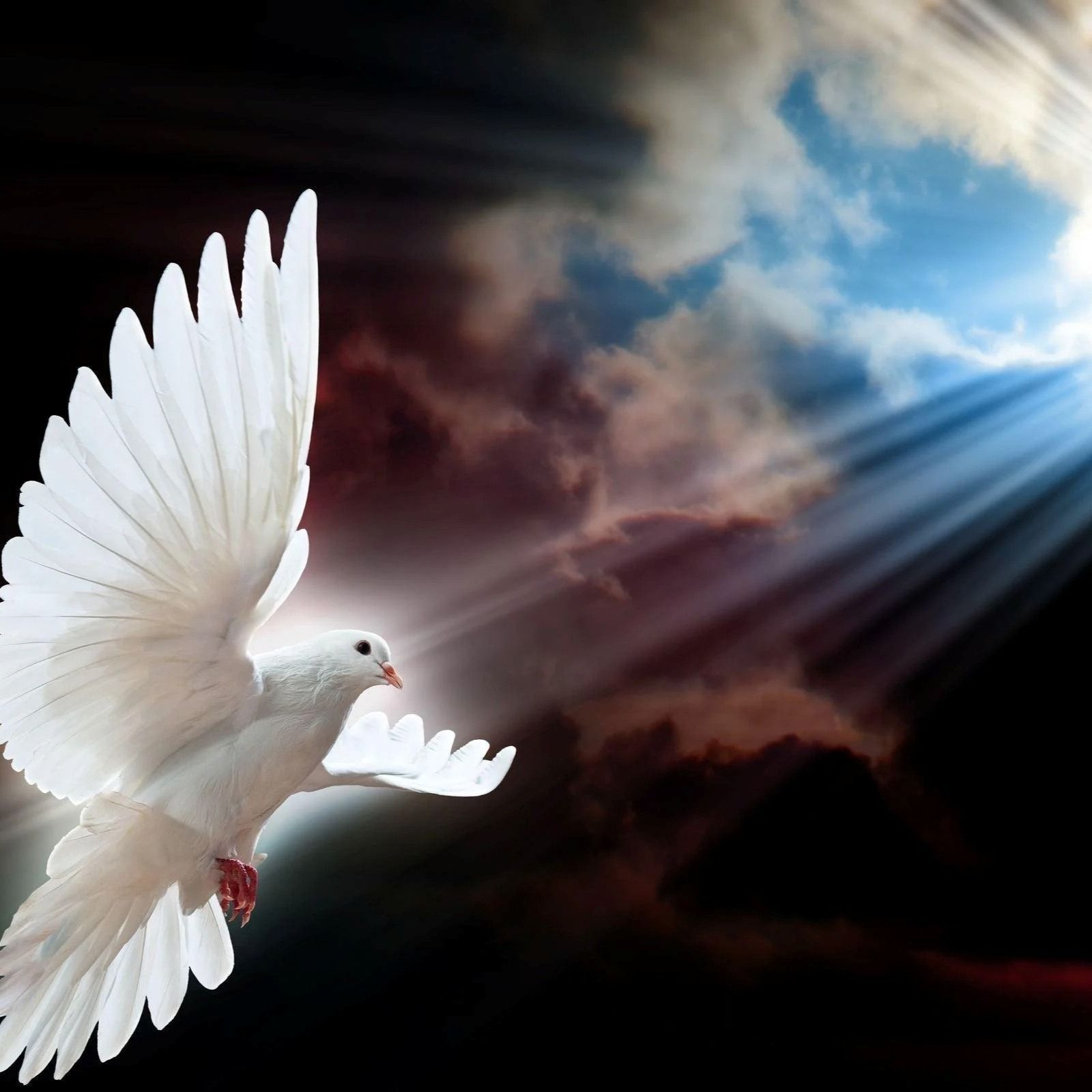 Sheryl Jones's obituary photo'