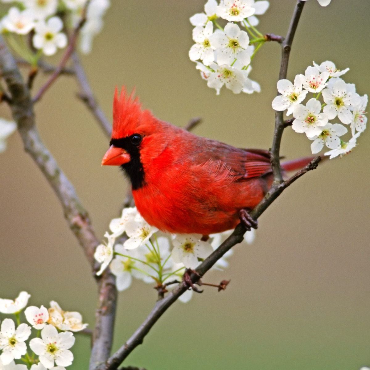 Dean Black's obituary photo'