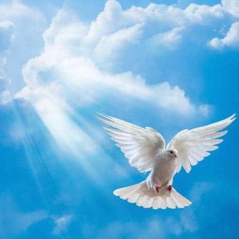 Darryl L. Dahl's obituary photo'