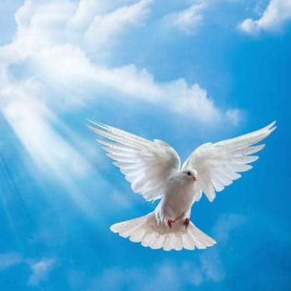 Jeanne Robaidek's obituary photo'