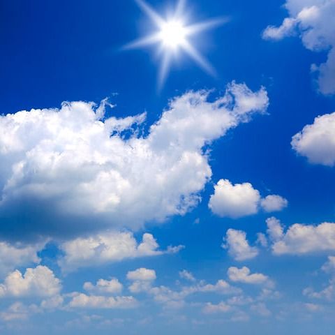 Reyna Ăť Linh Polk's obituary photo'