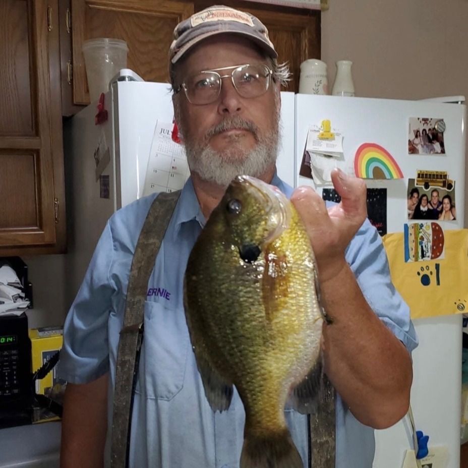 Ernest B. Ruegsegger's obituary photo'