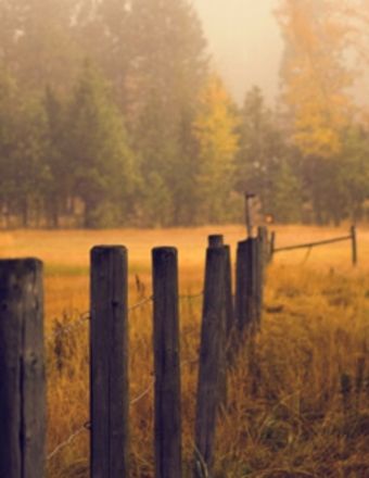 Clayton Lyne