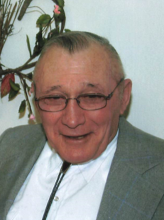 Donald Shaules
