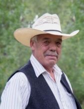 Dennis McDonnell