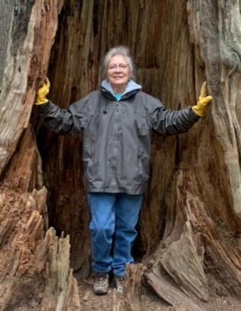 Wendy Evans