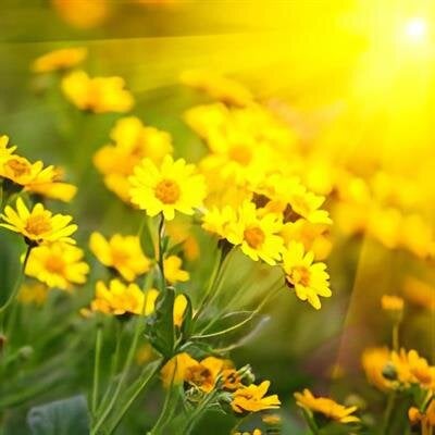 Adele Cassow's obituary photo'