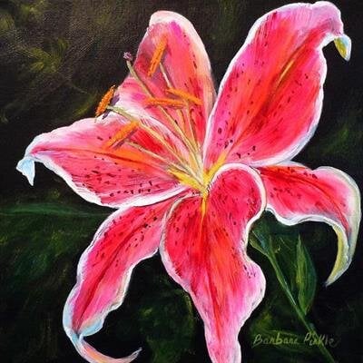 Lynne Dooley
