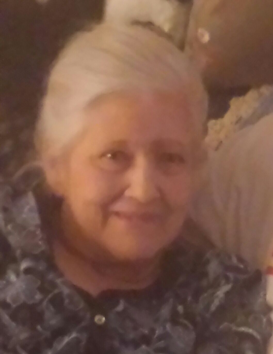 Sally Ann Tinker