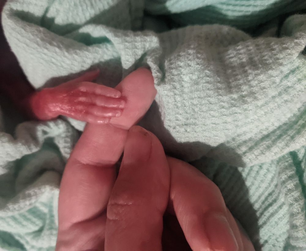 Ariella Jada Dorn Swain