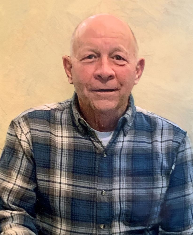 Dennis H Busch