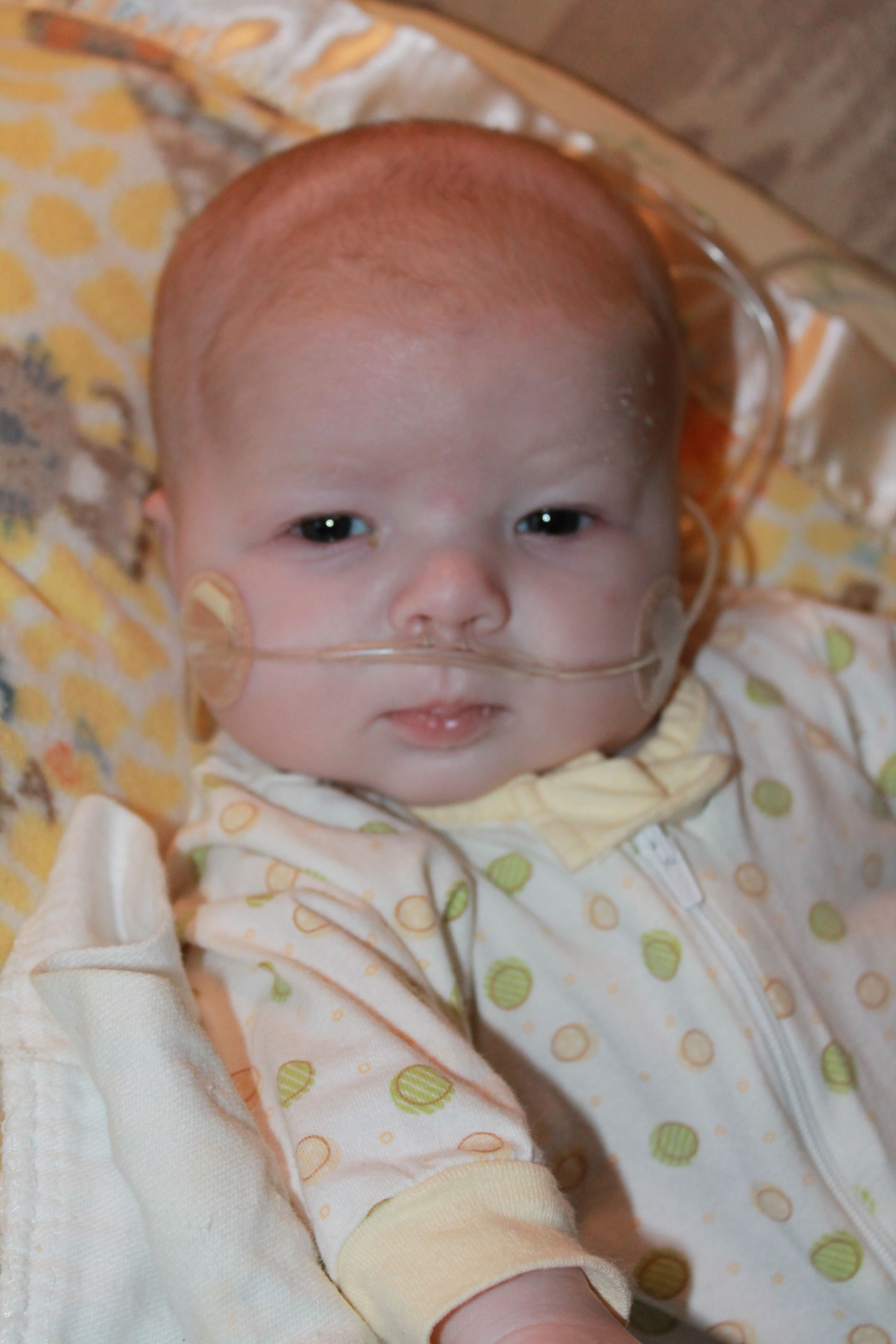 Noah Martin Ruppel