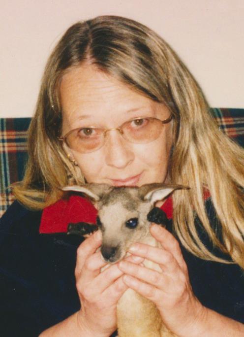 Diana K Lauretic