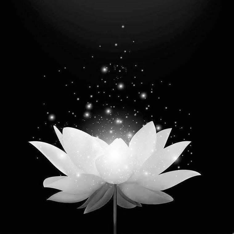 Thanh Van Le