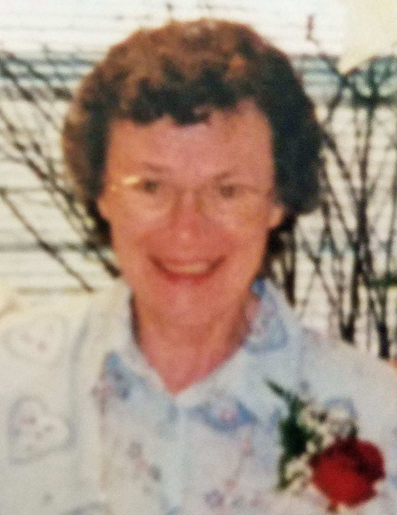 Diane M Karls