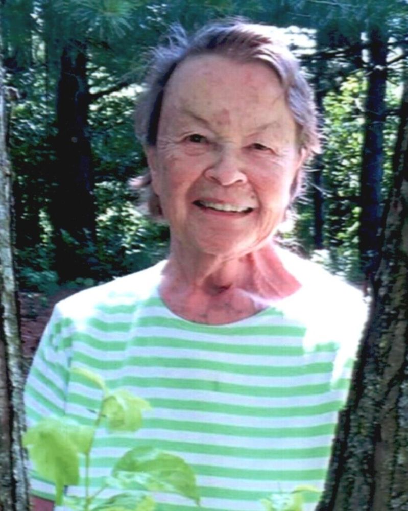 Luana C. Kalscheur
