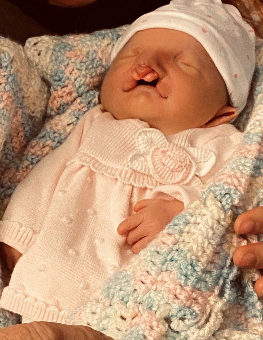 Eleanor Rose Necklen
