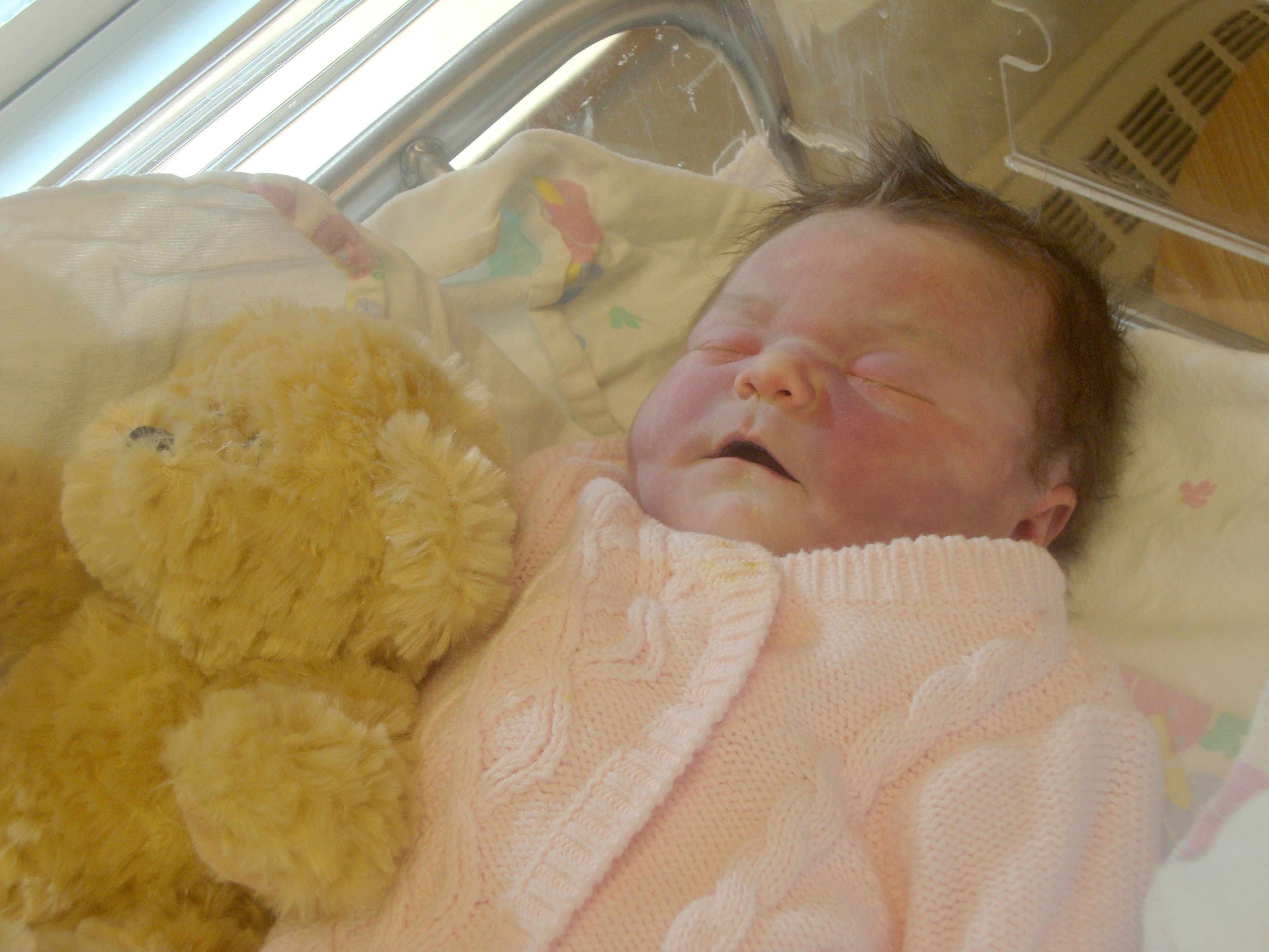 Autumn Rae Ellestad