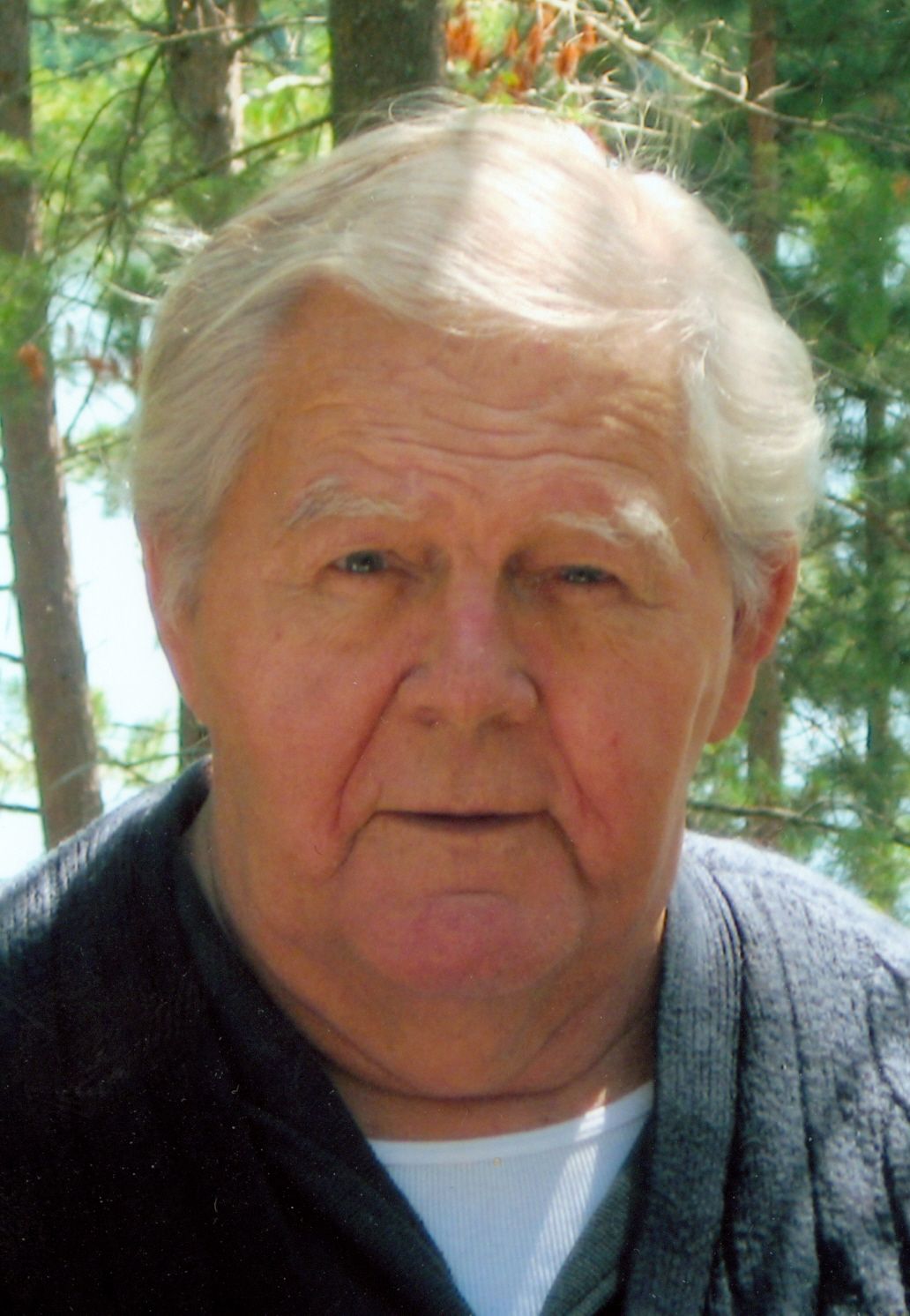 William George Higgins