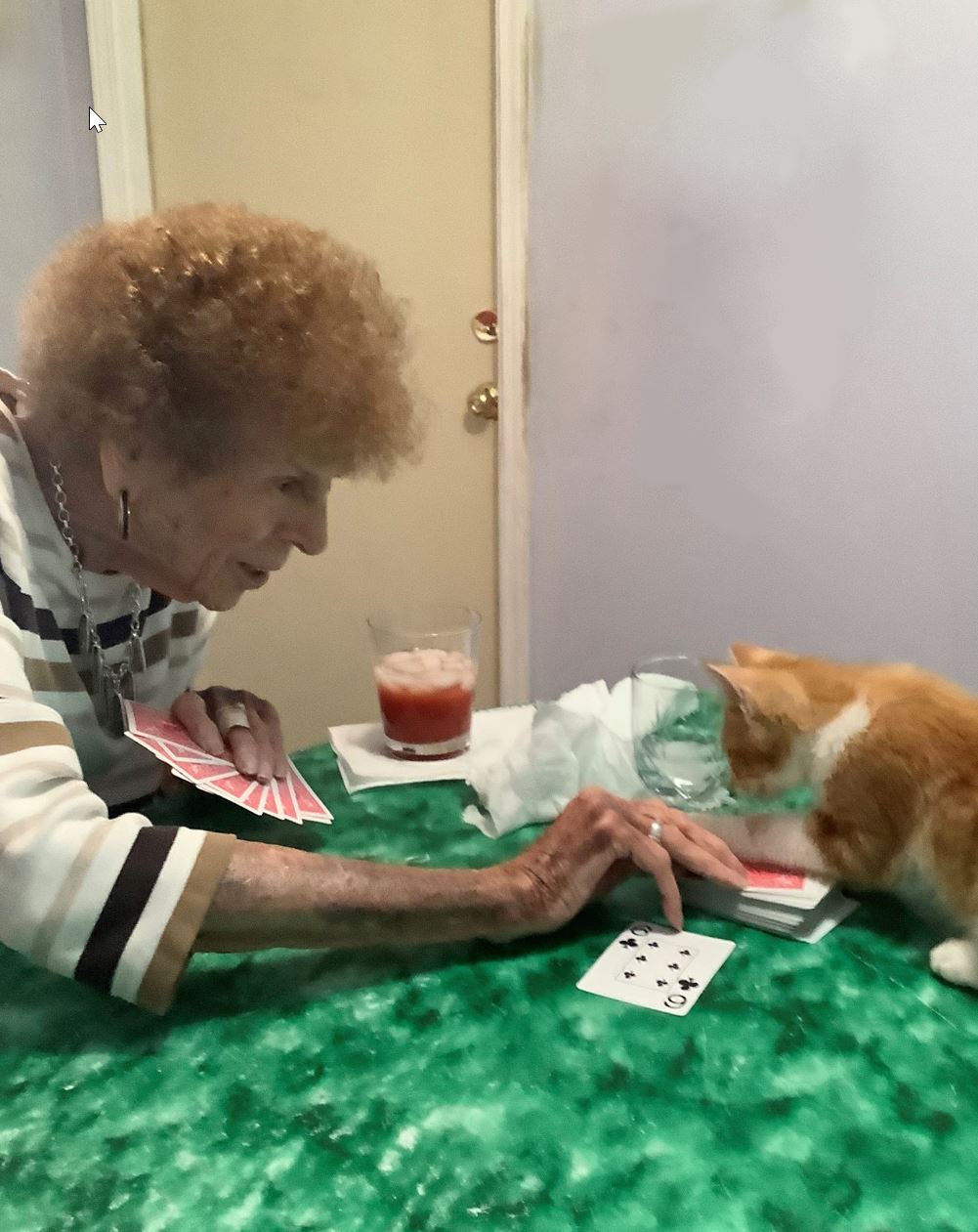 Frances Veronica  "Faye"  Roed
