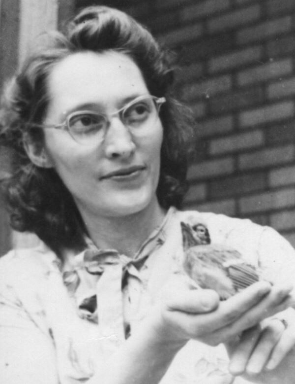 Jane Addie (Hein) Feierabend