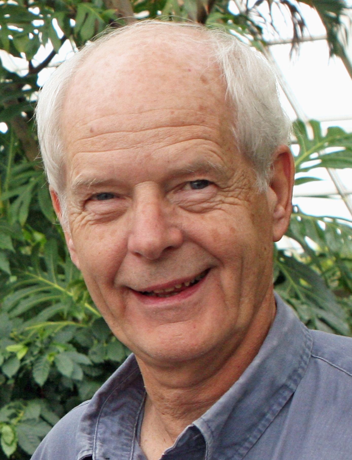 Robert A. Haworth