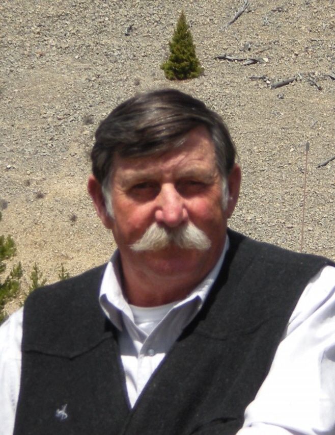 Bernard M Koch