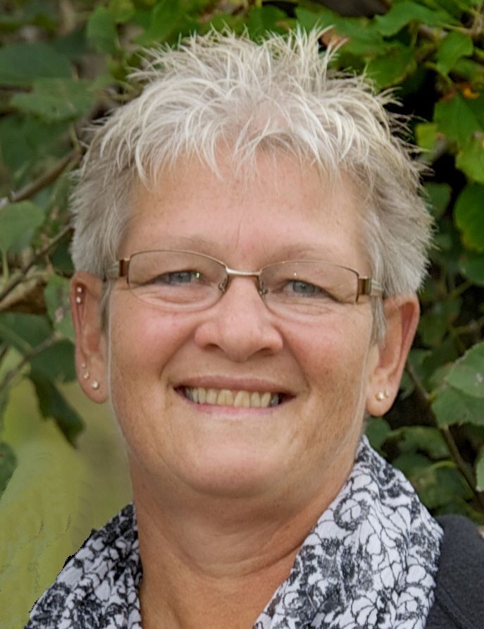 Terry J Ripp