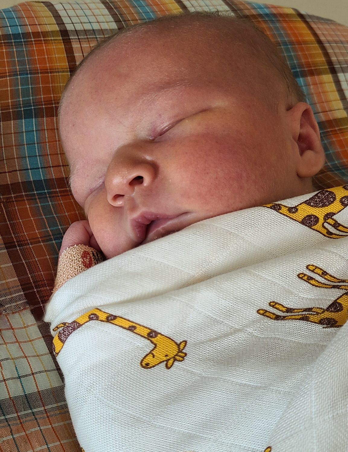 Thomas James Wagner-Davis