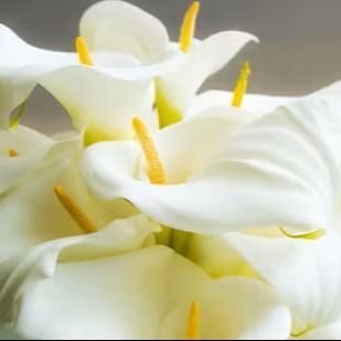 Lilian Anthony's obituary photo'