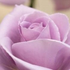 Elaine Jaskowski's obituary photo'