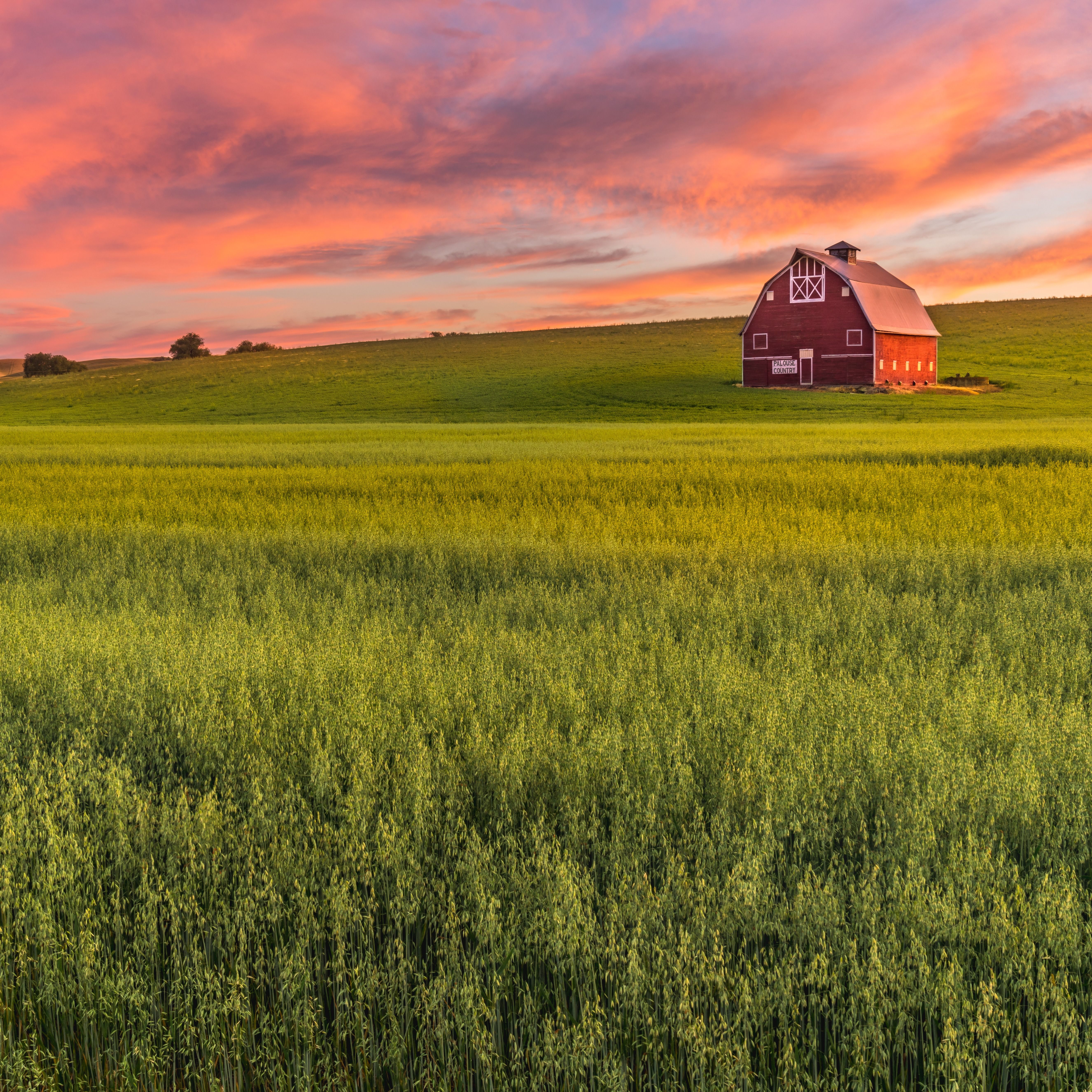 William Dietsch's obituary photo'