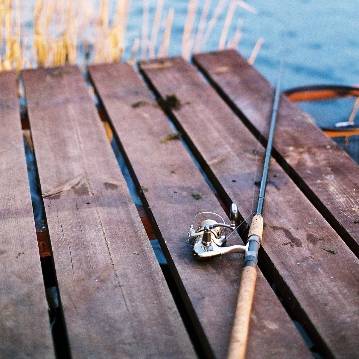 Randy Stewart's obituary photo'