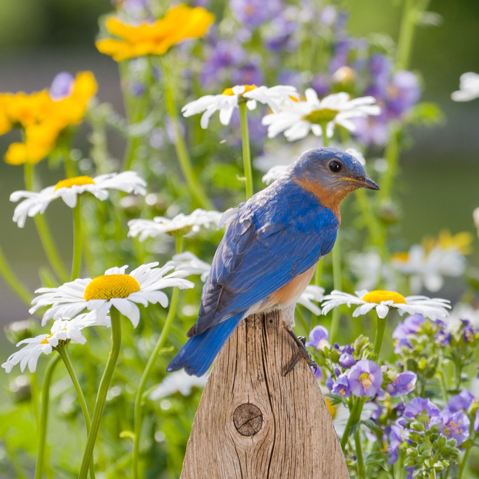 Barbara Radtke's obituary photo'