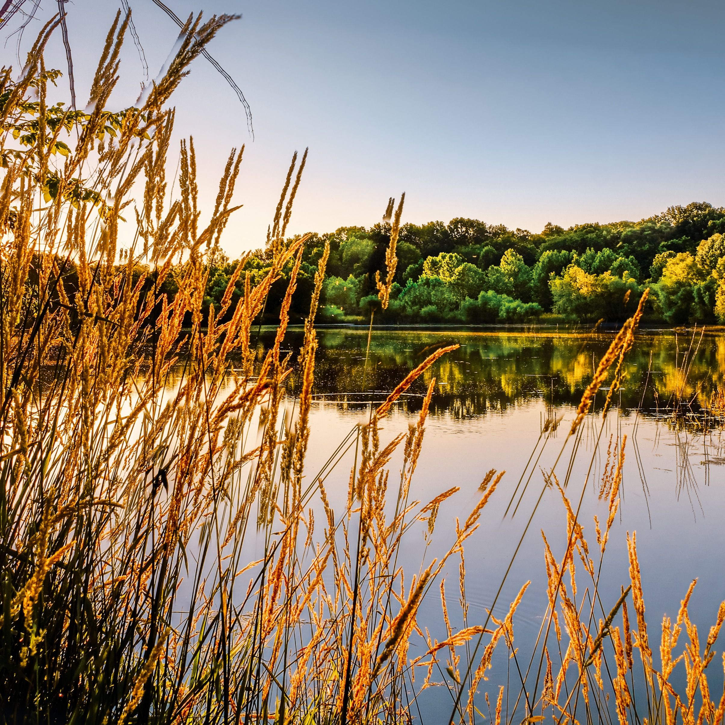 Selmer Spitzer's obituary photo'