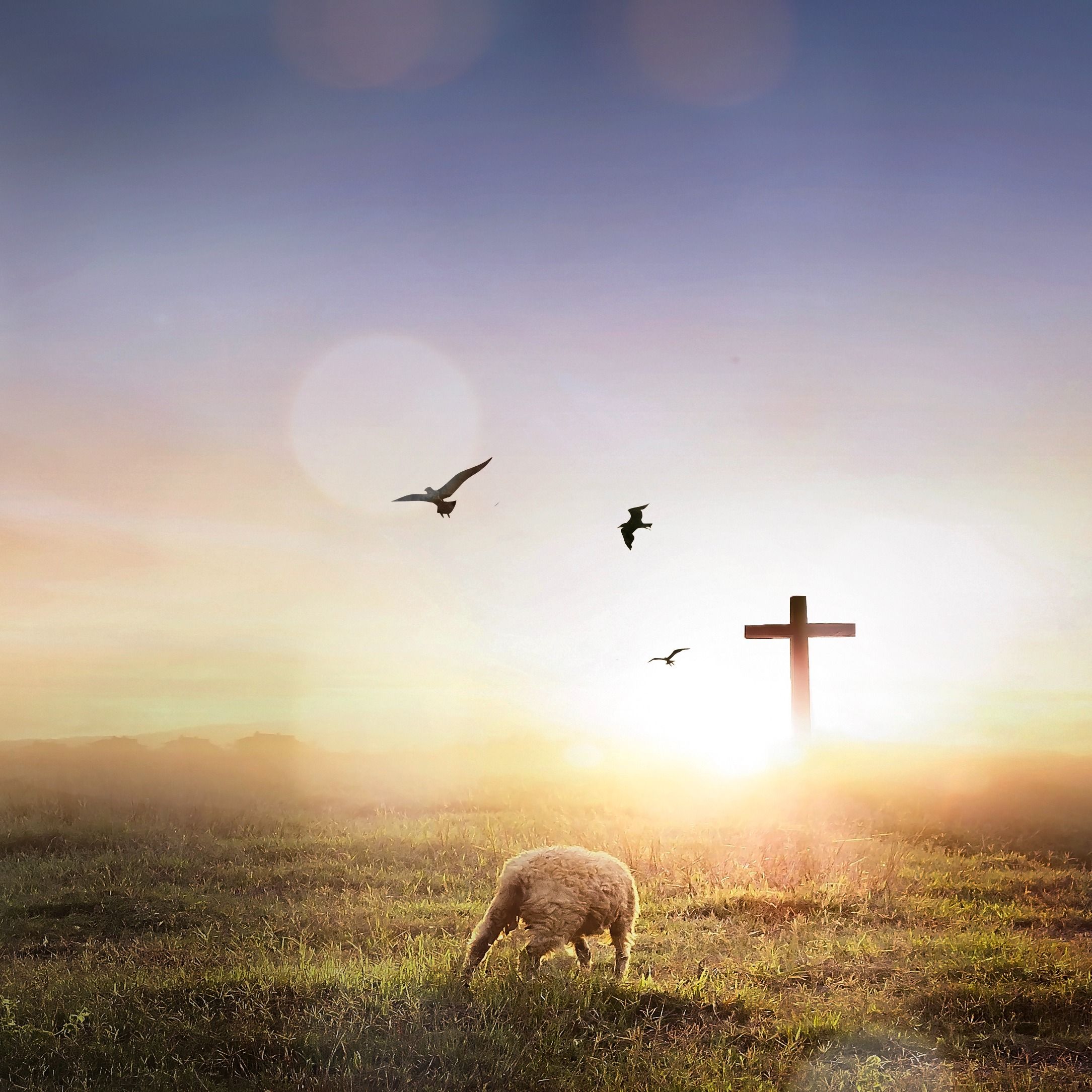 Karen Miller's obituary photo'