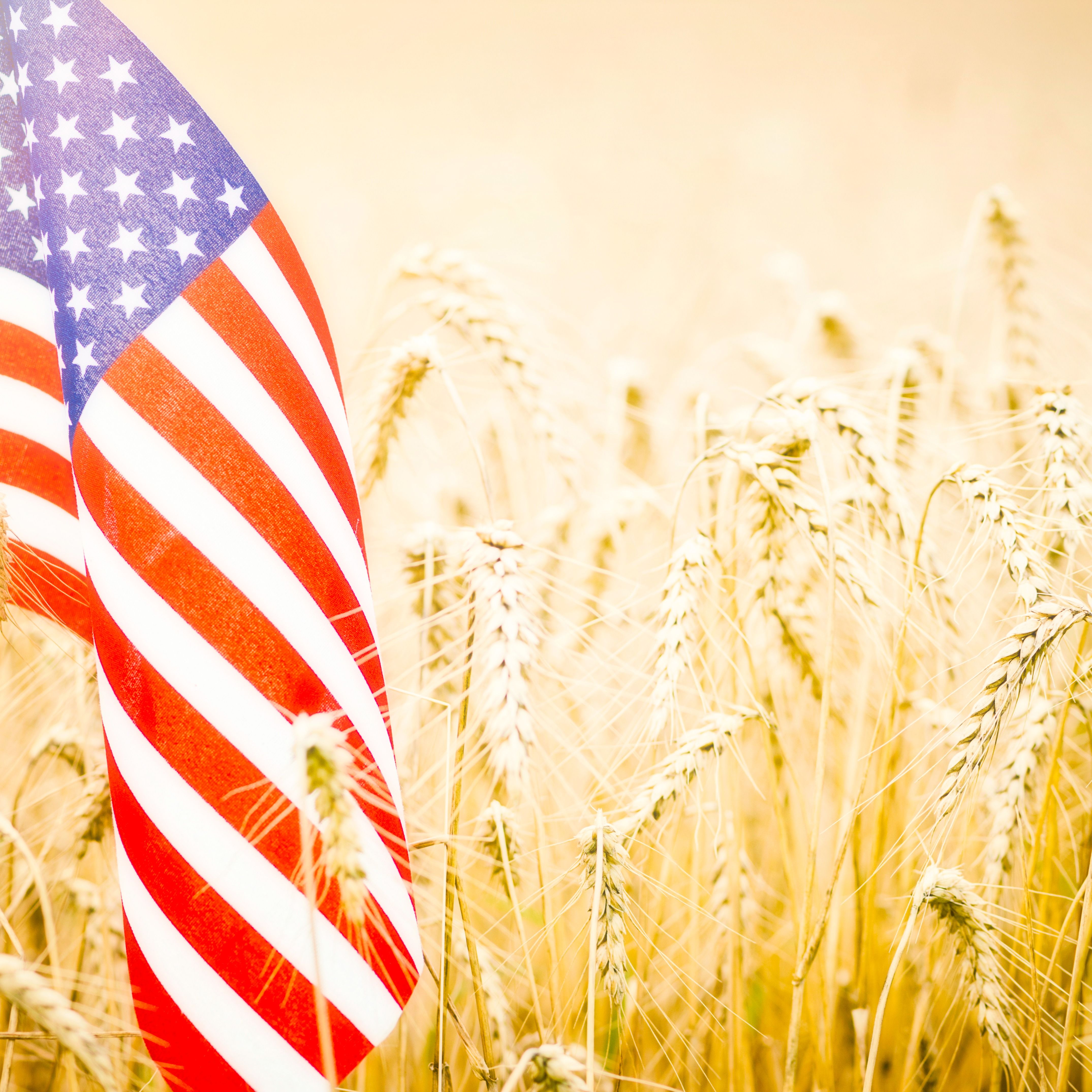 Michael Clemens's obituary photo'