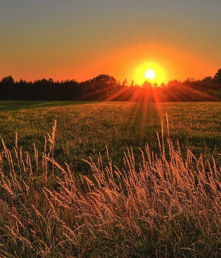 Daniel Ruffman's obituary photo'