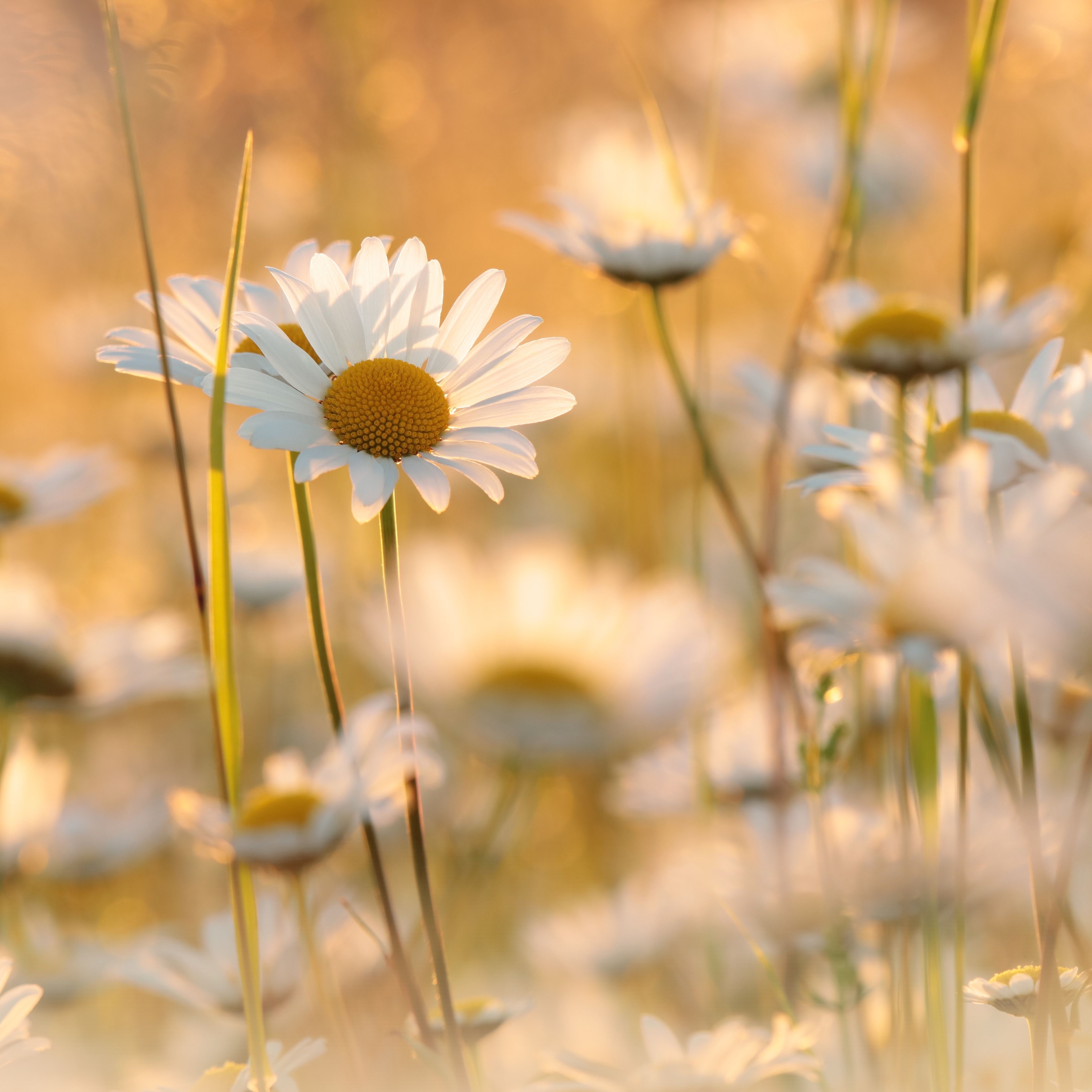 Wayne Docktor's obituary photo'
