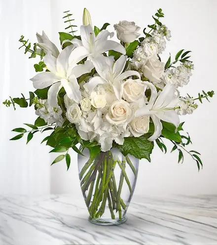 Image attached to comment