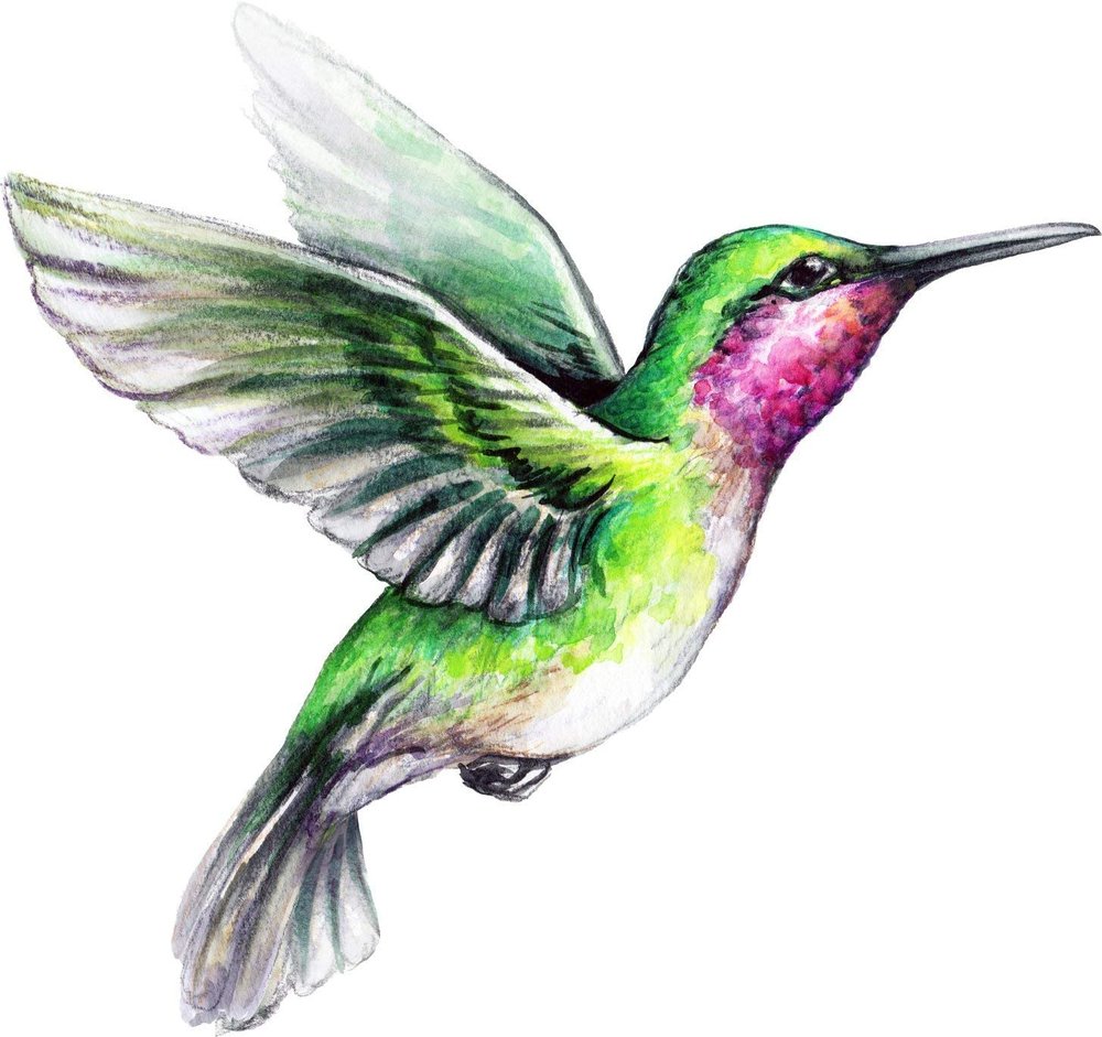 Ngoc Giang