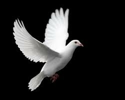 Achike Mazeli's obituary photo'