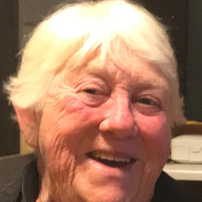 Lou Anna Domann