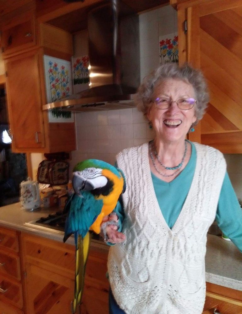 Ann Campbell Warren