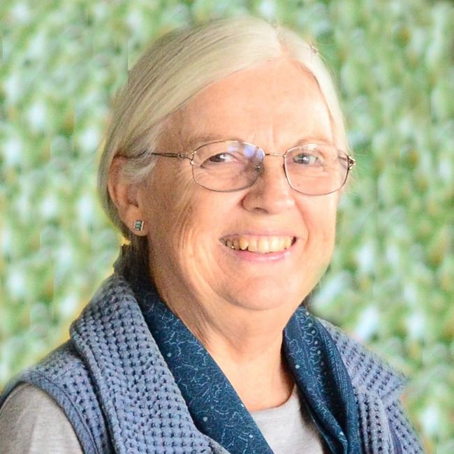 Carol Diane Petersen