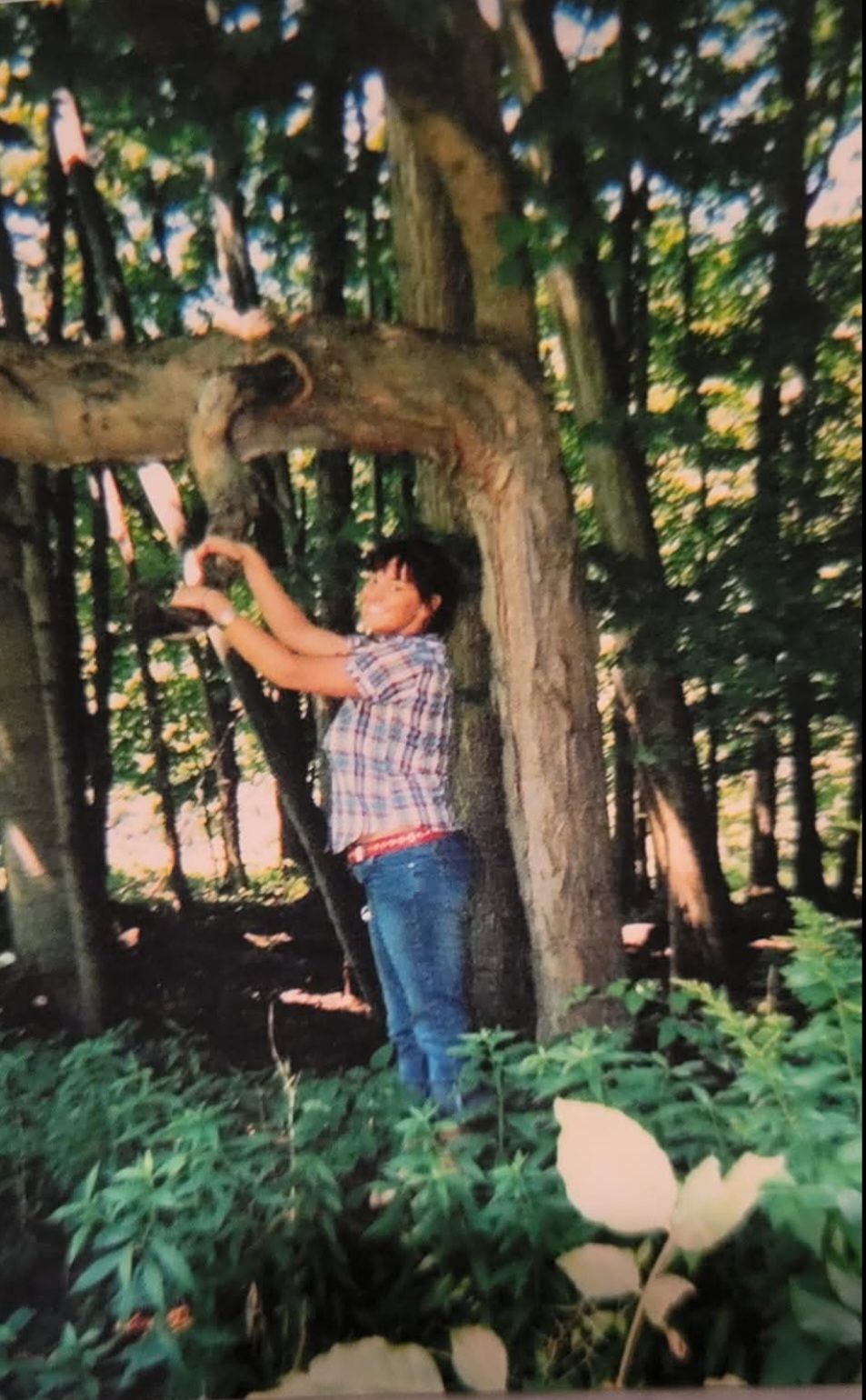 Image attached to comment