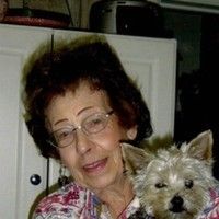 VIOLA ZIEGERT