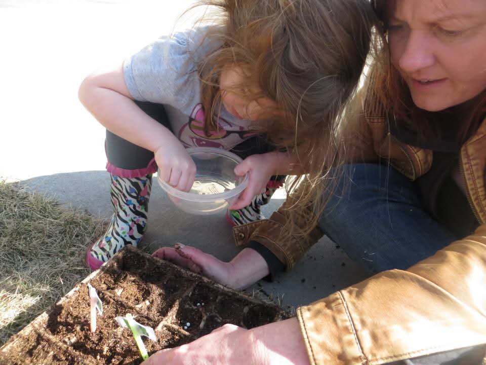 Image attached to comment